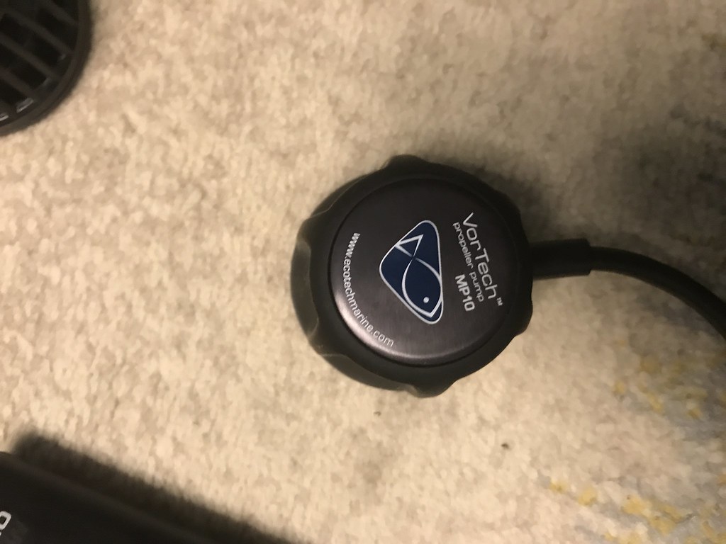 34710106771_b3abdf8dab_b.jpg