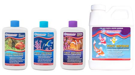 www.drtimsaquatics.com