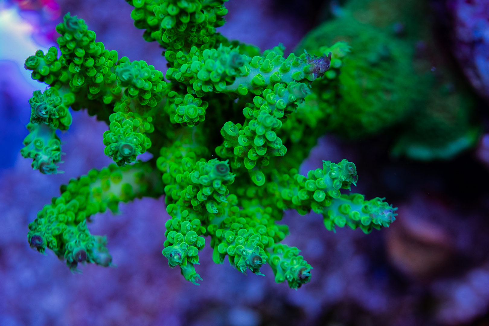 49085710967_a9d462bf77_o.jpg