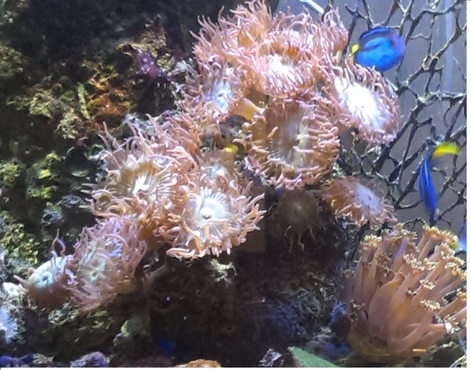 imag0436-copy-jpg.466836