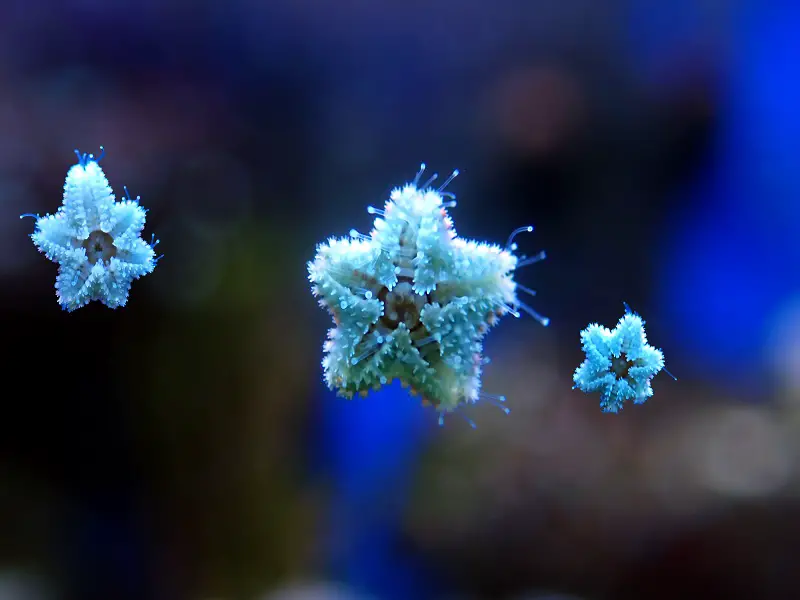 www.fishkeepingworld.com