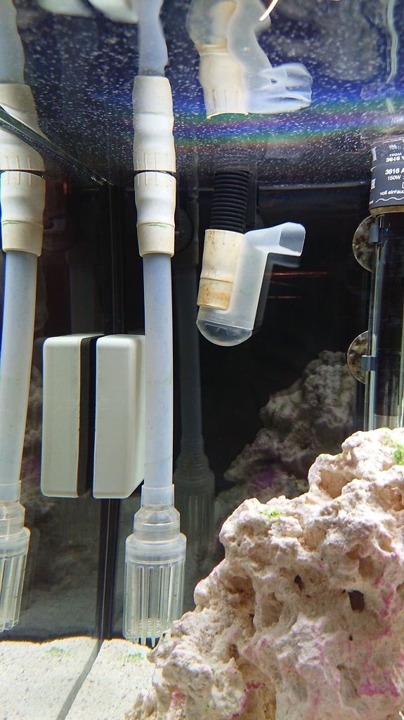 tank10.JPG