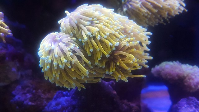 34023819673_778a9e6b19_z.jpg