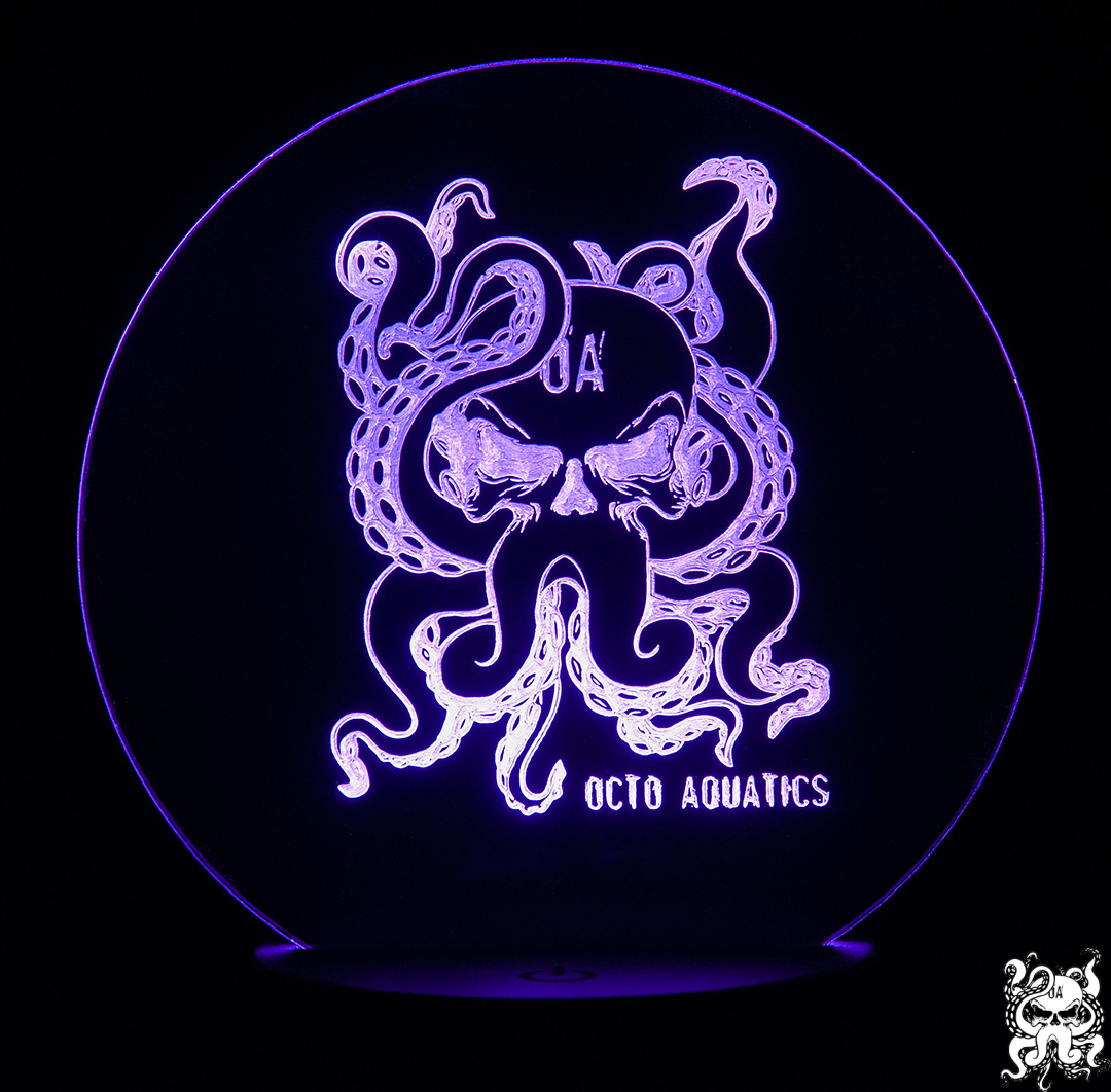 led-04.jpg