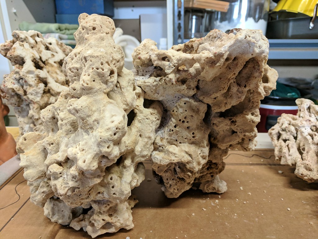 37044325703_c1d6550bd9_b.jpg