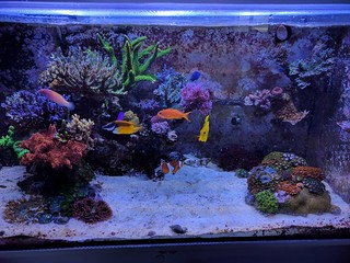 30608454113_cf29d5dc19_n.jpg