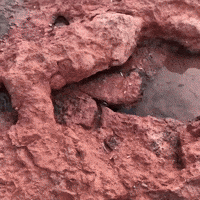You Are Dead GIF by MOODMAN