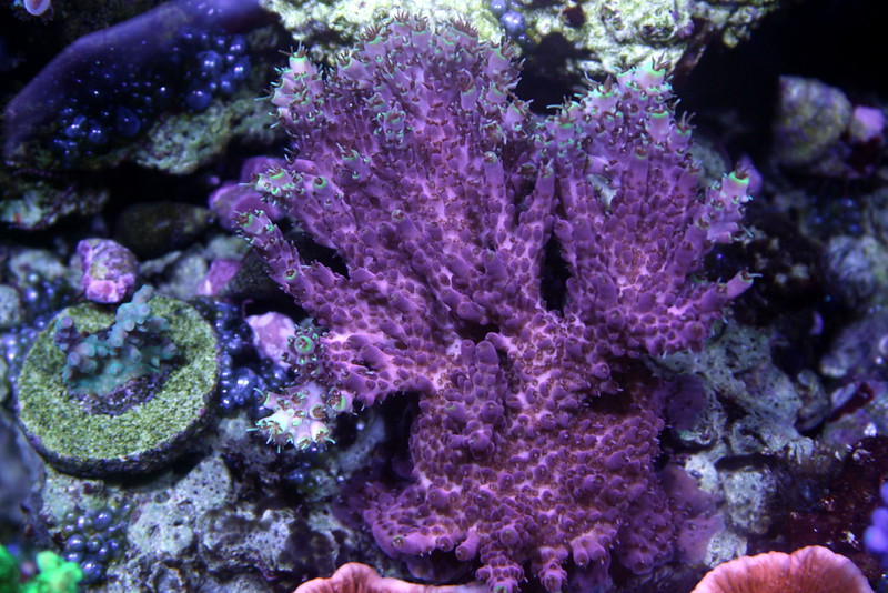 14587570764_0d6b268ac1_c.jpg