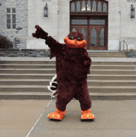 vt hokies GIF by Virginia Tech