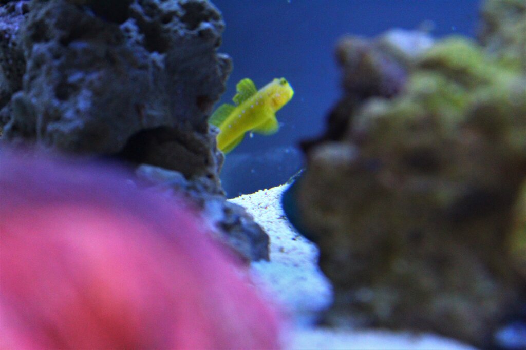 225799