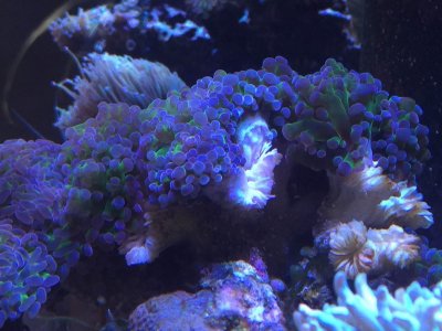 223081-8ff61e7c8b3efc3ba2b44ace4e6caf4a.jpg