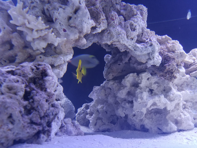 20180610_184729.jpg