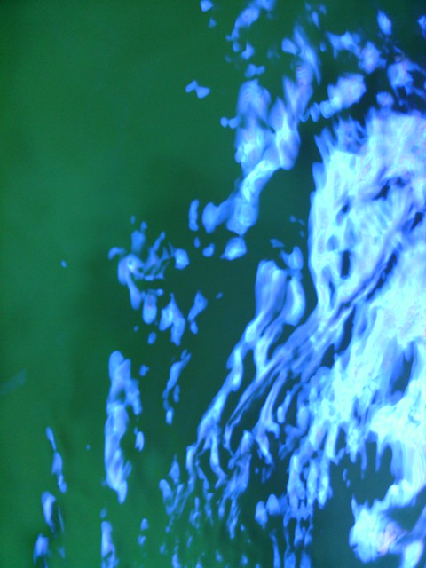 22604406613_ded88a5057_z.jpg
