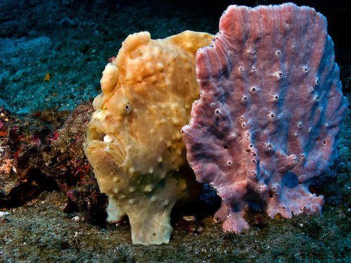 www.uwphotographyguide.com