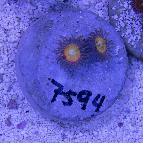 15410336798_fff55f6e94.jpg