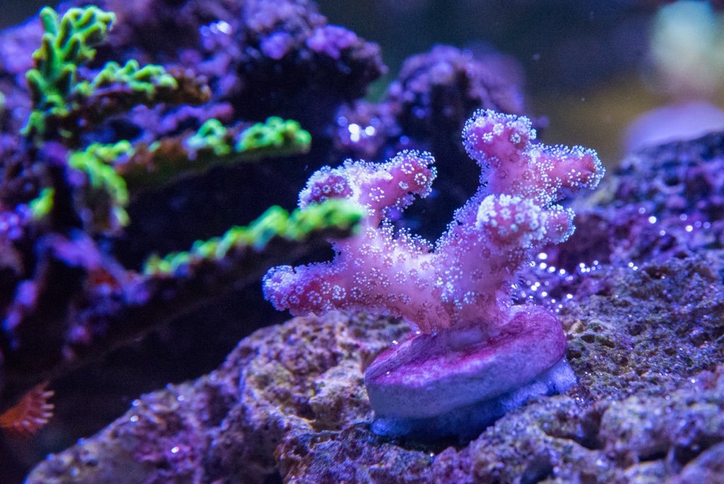 DSC_1610.jpg