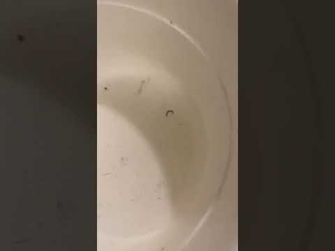 youtube.com