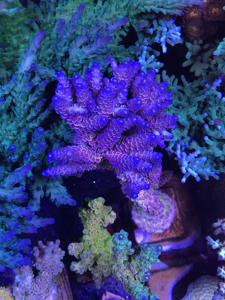 47937326556_2f15666495_b.jpg