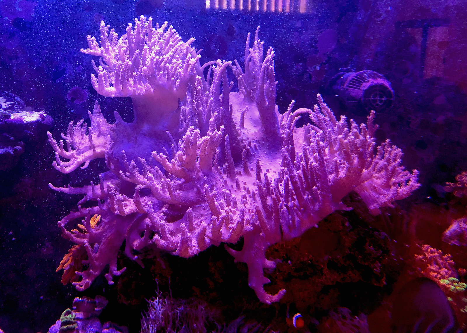 43178167205_c96827cb33_h.jpg