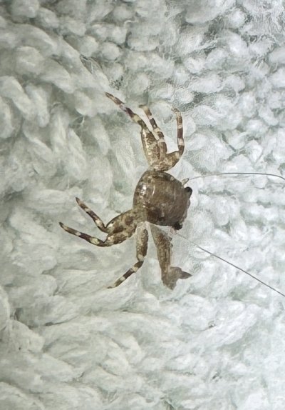 IMG_8488.jpeg IMG_8488.jpeg