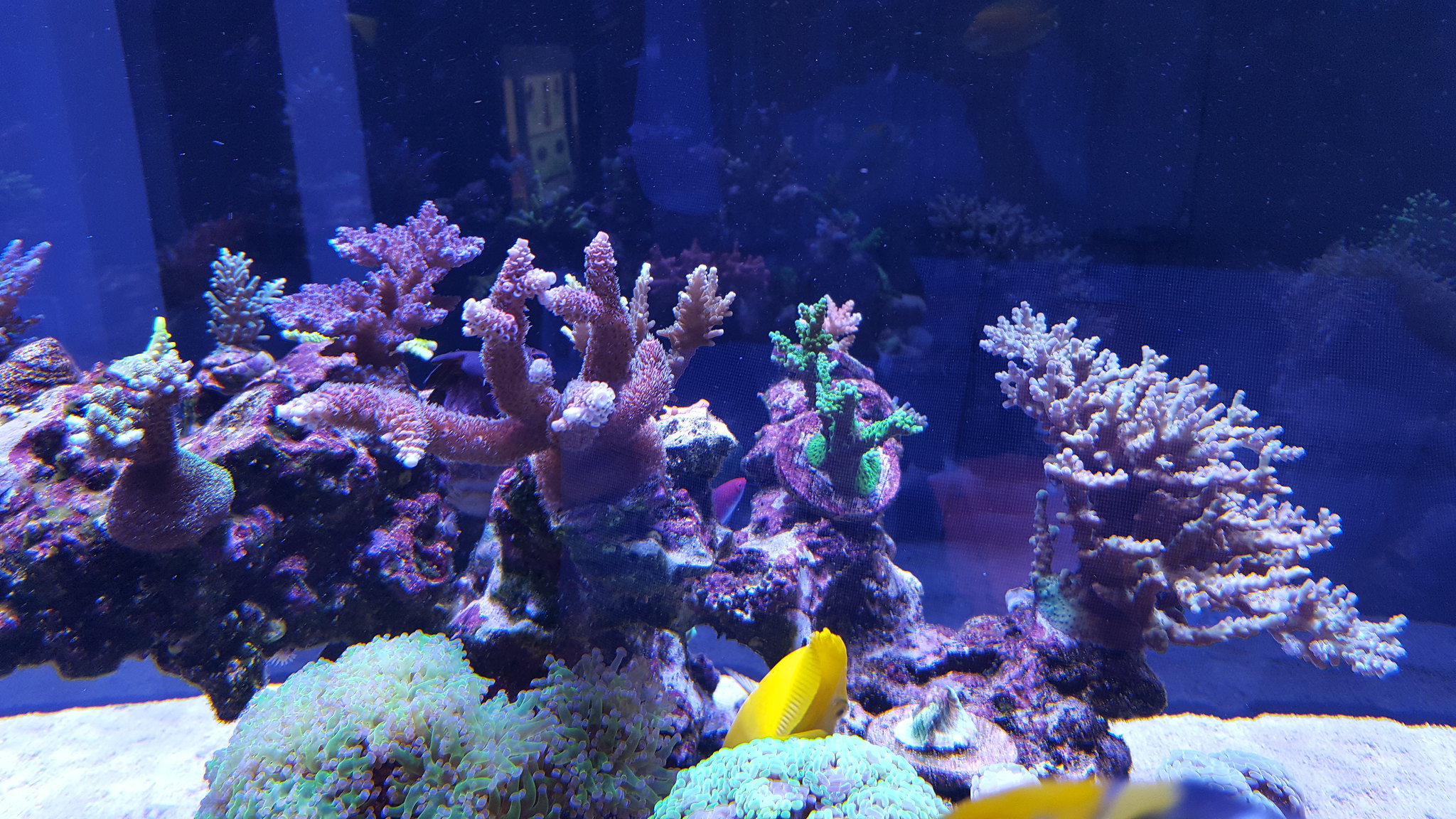 41402785190_51c3fc7b06_k.jpg