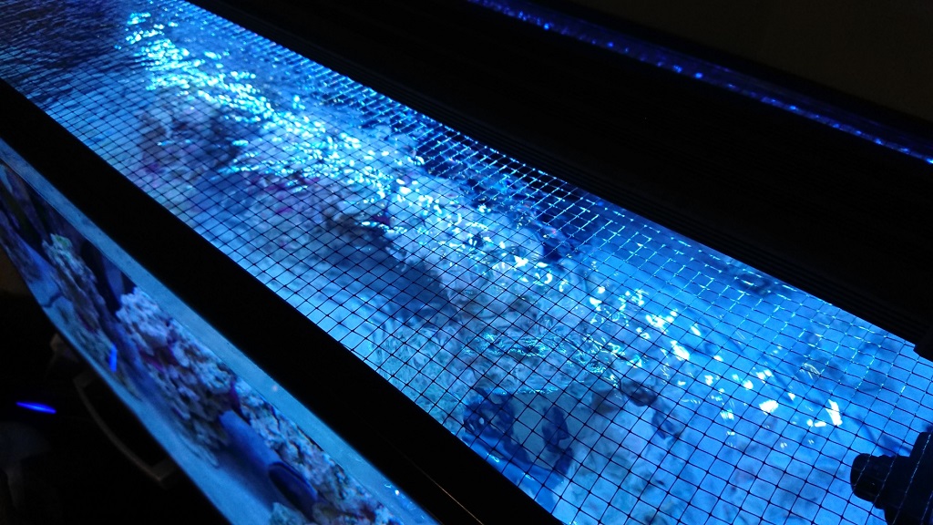 tank20.JPG