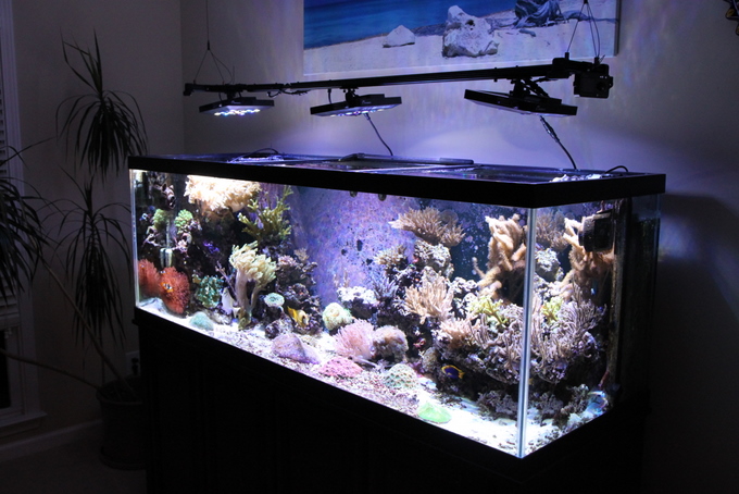 reefbuilders.com