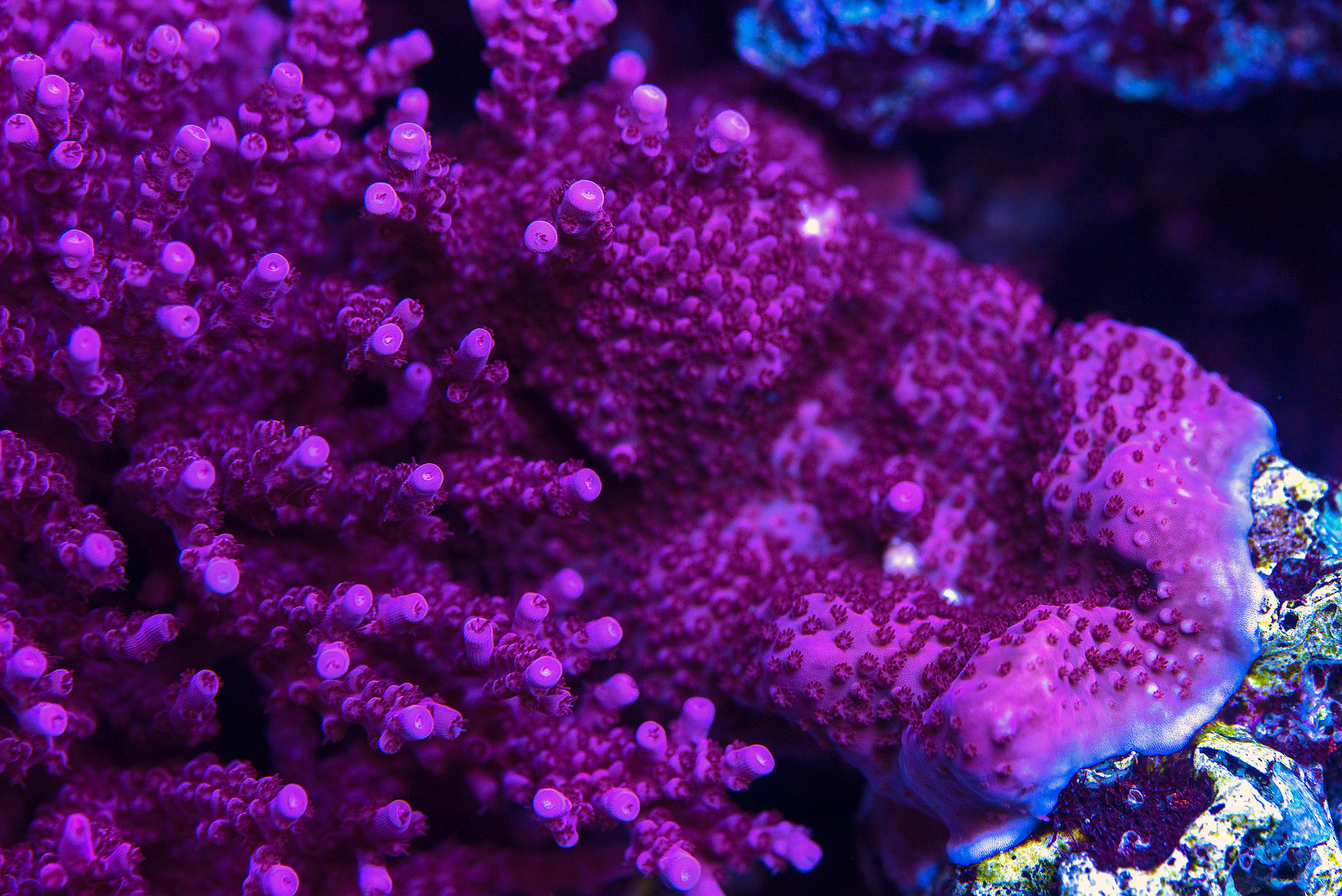 51908424981_15d05aa190_k.jpg