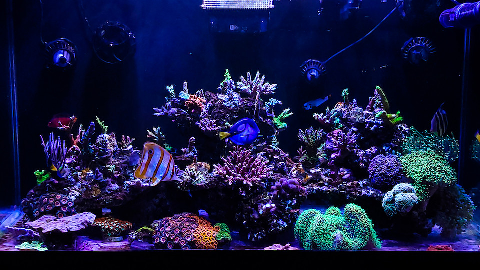 49927795951_f390aa0d37_b.jpg