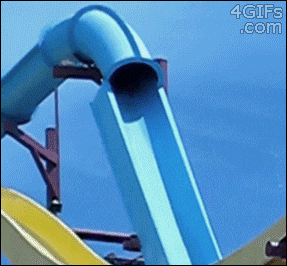 giphy.gif
