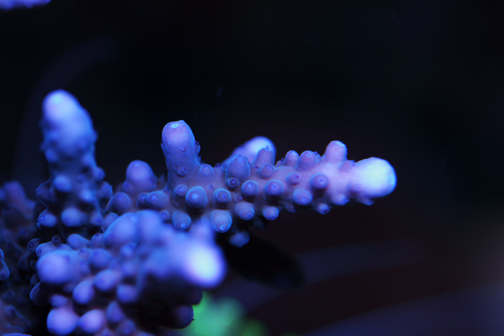 46532385564_70dc8240a2_k.jpg