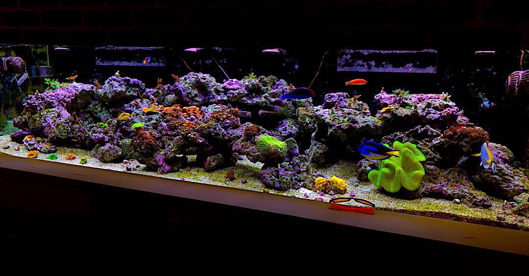 tank-jpg.1088350