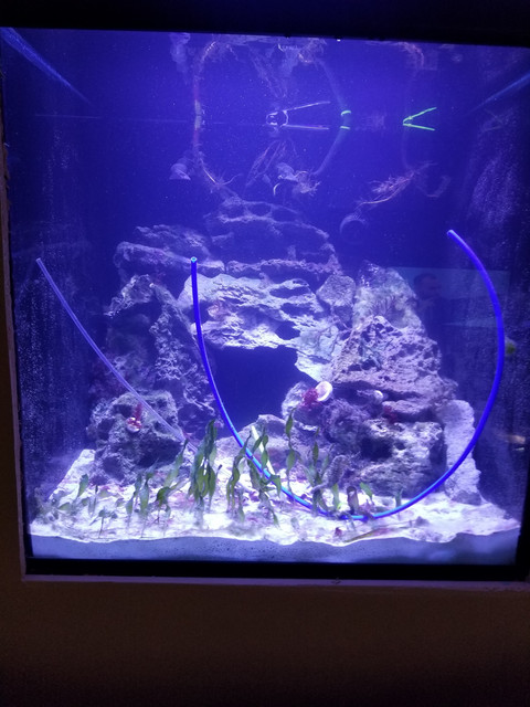 20180701_163751.jpg