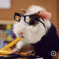 tiny school GIF