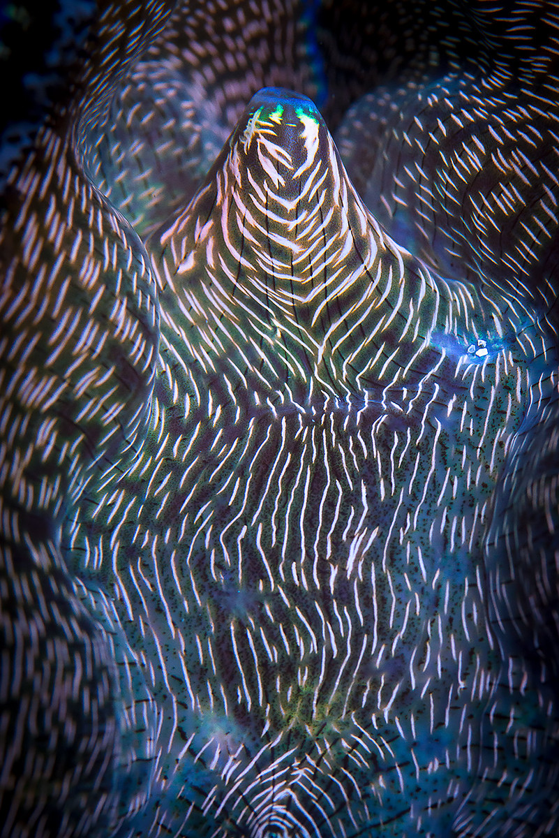 29-jpg.369347
