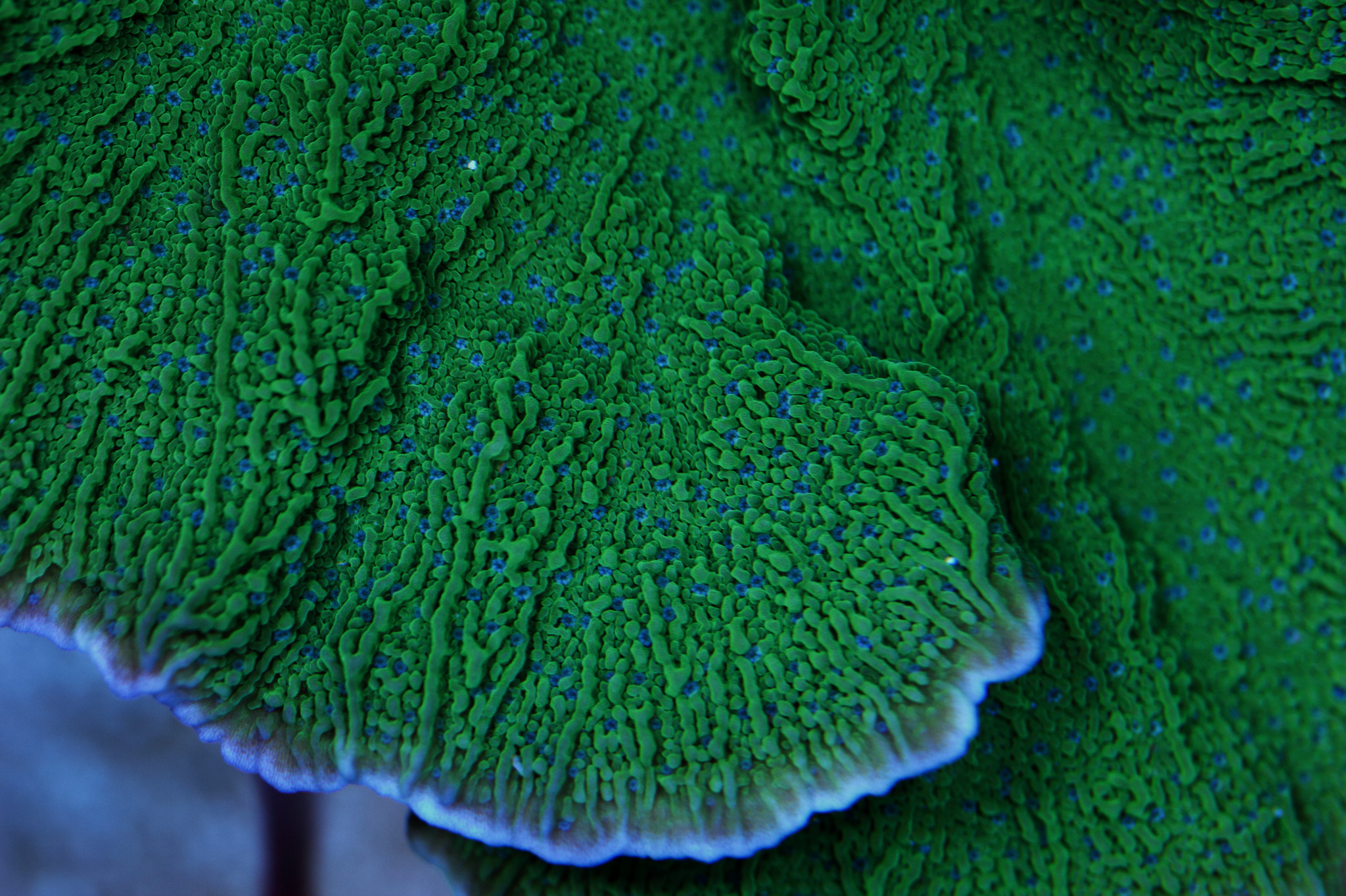 47204120092_2443116632_k.jpg