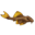 www.planetcatfish.com