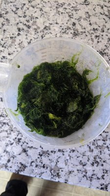 IMG_20200809_084203.jpg