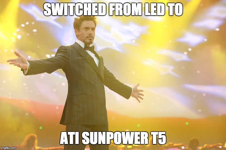 zdu9y.jpg