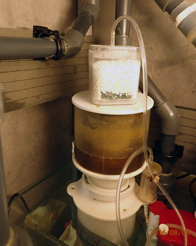 co2-4-jpg.383053