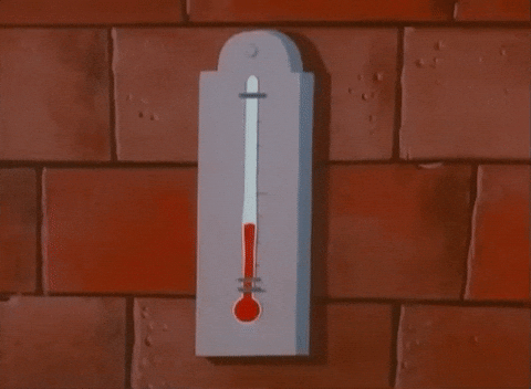 giphy.gif