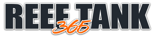 681533