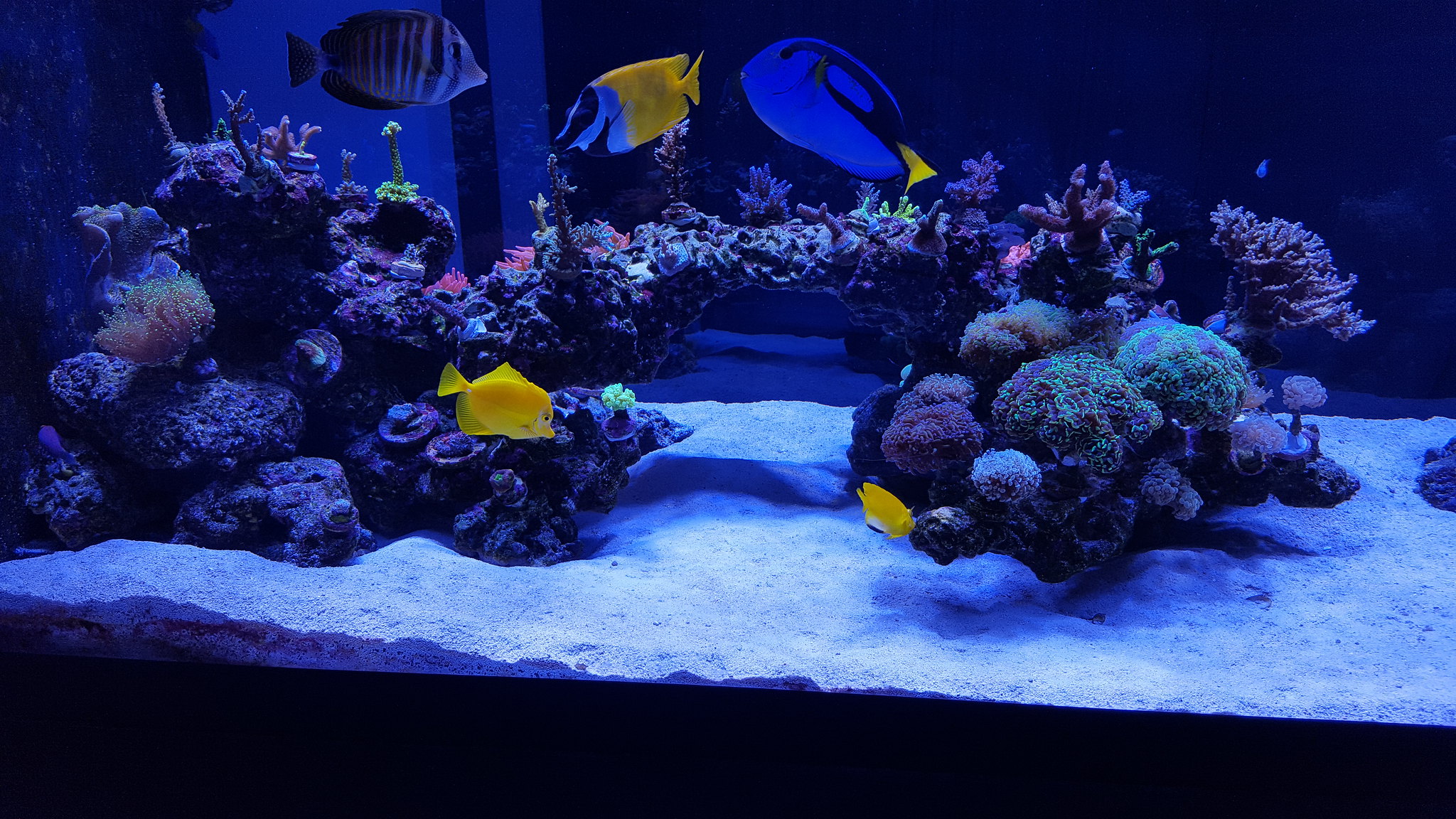 40187390310_b8aa84183c_k.jpg