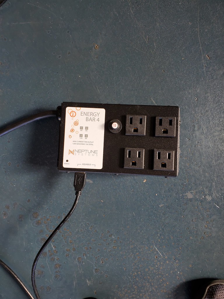 50759916171_b53e787445_b.jpg