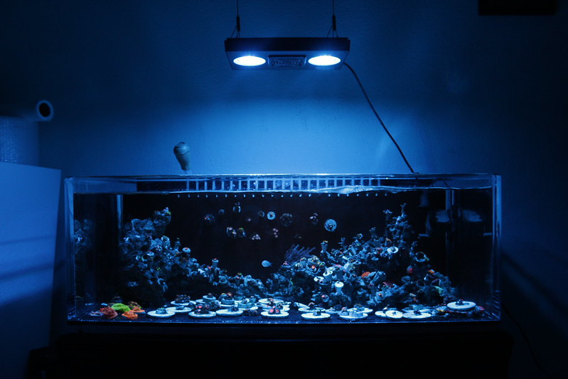 15255671270_63e88a3517_c.jpg