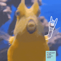 200.gif