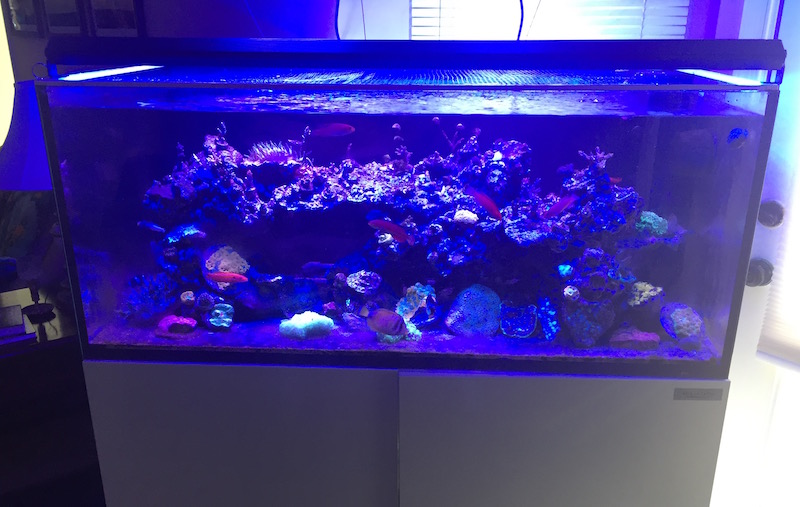 reefbuilders.com