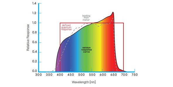 graph2.png