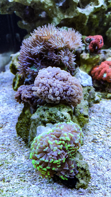 28870238118_a4b27d7265_c.jpg