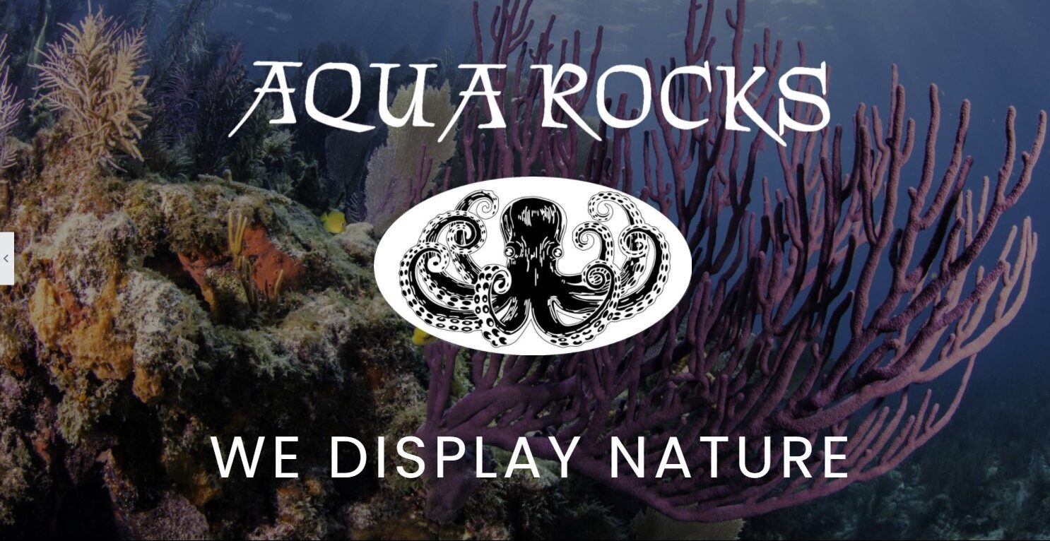 aquarocksdesigns.com